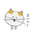 ねこのすまこ（個別スタンプ：38）