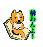 犬本  コリキ（個別スタンプ：6）