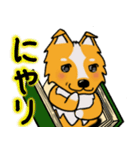 犬本  コリキ（個別スタンプ：14）