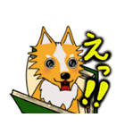 犬本  コリキ（個別スタンプ：17）