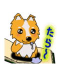 犬本  コリキ（個別スタンプ：19）