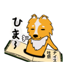 犬本  コリキ（個別スタンプ：22）