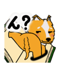 犬本  コリキ（個別スタンプ：29）