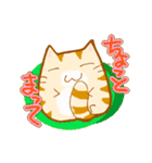 ねこねこにゃー ふたつめ（個別スタンプ：17）