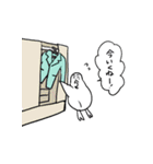 ○君の友達のペンギンとエイミーちゃん（個別スタンプ：13）