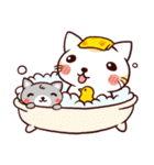 たおるねこ2（個別スタンプ：11）