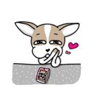 BIRKIN the Chihuahua（個別スタンプ：19）