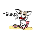 BIRKIN the Chihuahua（個別スタンプ：30）