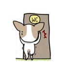 BIRKIN the Chihuahua（個別スタンプ：31）