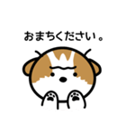 続・シーズー犬かぼちゃん（個別スタンプ：2）