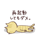 DTPがんばるねこ（個別スタンプ：19）