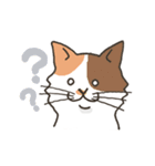 猫ねこニャン子（個別スタンプ：3）