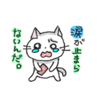 WHITE CAT！ LET'S PLAY！（個別スタンプ：20）