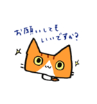 茶トラのあいさつ（個別スタンプ：24）