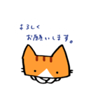 茶トラのあいさつ（個別スタンプ：25）
