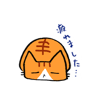 茶トラのあいさつ（個別スタンプ：30）