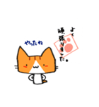 茶トラのあいさつ（個別スタンプ：39）