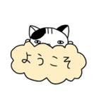 くもねこ（個別スタンプ：1）