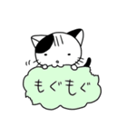 くもねこ（個別スタンプ：3）