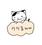 くもねこ（個別スタンプ：6）