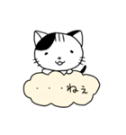 くもねこ（個別スタンプ：11）