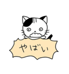 くもねこ（個別スタンプ：19）