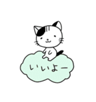 くもねこ（個別スタンプ：36）