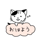 くもねこ（個別スタンプ：38）