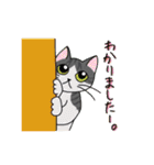 了解猫（個別スタンプ：25）