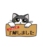 了解猫（個別スタンプ：37）