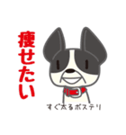 犬まみれ40犬種スタンプ（個別スタンプ：1）