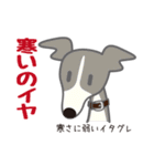 犬まみれ40犬種スタンプ（個別スタンプ：8）