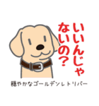 犬まみれ40犬種スタンプ（個別スタンプ：10）