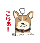 犬まみれ40犬種スタンプ（個別スタンプ：13）