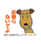 犬まみれ40犬種スタンプ（個別スタンプ：16）