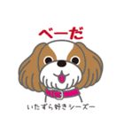 犬まみれ40犬種スタンプ（個別スタンプ：20）