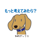 犬まみれ40犬種スタンプ（個別スタンプ：21）