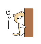 デブ猫3兄弟（個別スタンプ：24）