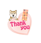 毎日使える～！柴犬さんの連絡スタンプ（個別スタンプ：25）