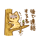 ねここさん2（個別スタンプ：20）