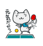 卓球で会話するスタンプ！☆ネコ卓球(シロ)（個別スタンプ：31）