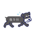 シュナとトイプー 第4弾 ふきだしタイプ（個別スタンプ：8）
