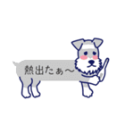 シュナとトイプー 第4弾 ふきだしタイプ（個別スタンプ：27）
