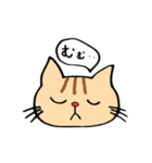 ニャンコたちのつぶやき。（個別スタンプ：16）