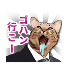 猫×サラリーマン（個別スタンプ：18）