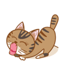 ミニモ猫 ：かわいい猫の絵文字（個別スタンプ：6）