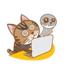 ミニモ猫 ：かわいい猫の絵文字（個別スタンプ：27）