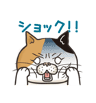 猫面相4 -ブサ猫スタンプ-（個別スタンプ：22）