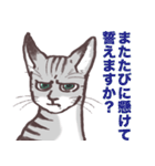 すこしばかり丁寧に話す猫と、その表情（個別スタンプ：6）