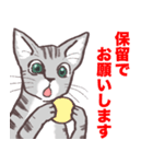 すこしばかり丁寧に話す猫と、その表情（個別スタンプ：14）